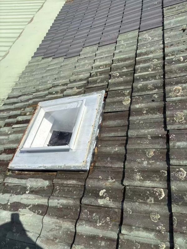 Property Repairs & Maintenance